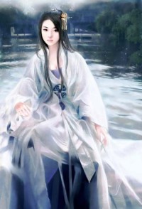 白莲花上位史(繁体)