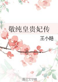 《敬純皇貴妃傳》