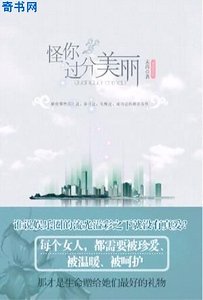 《怪你過分美麗》