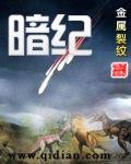 《暗紀》