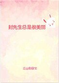 《封先生總是很美麗》