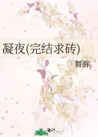 《凝夜(求磚)》
