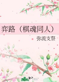 《弈路(棋魂同人)》