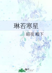 《琳若寒星》