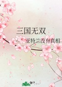 《三国无双》