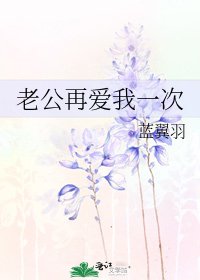 《老公再愛我一次》
