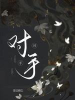 《对手》