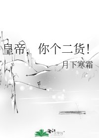 《皇帝,你個二貨!》