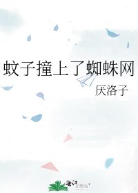 《蚊子撞上了蜘蛛網》