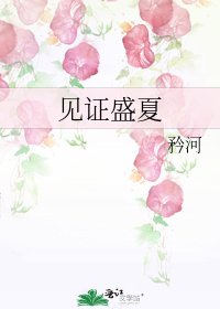 《見證盛夏》
