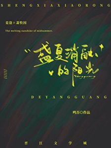 《盛夏消融的陽光》